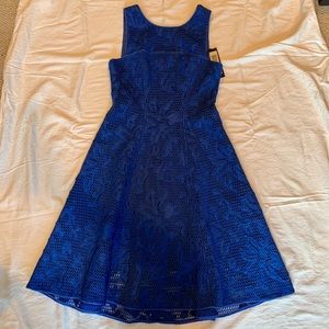 Yoana Baraschi Blue Dreas